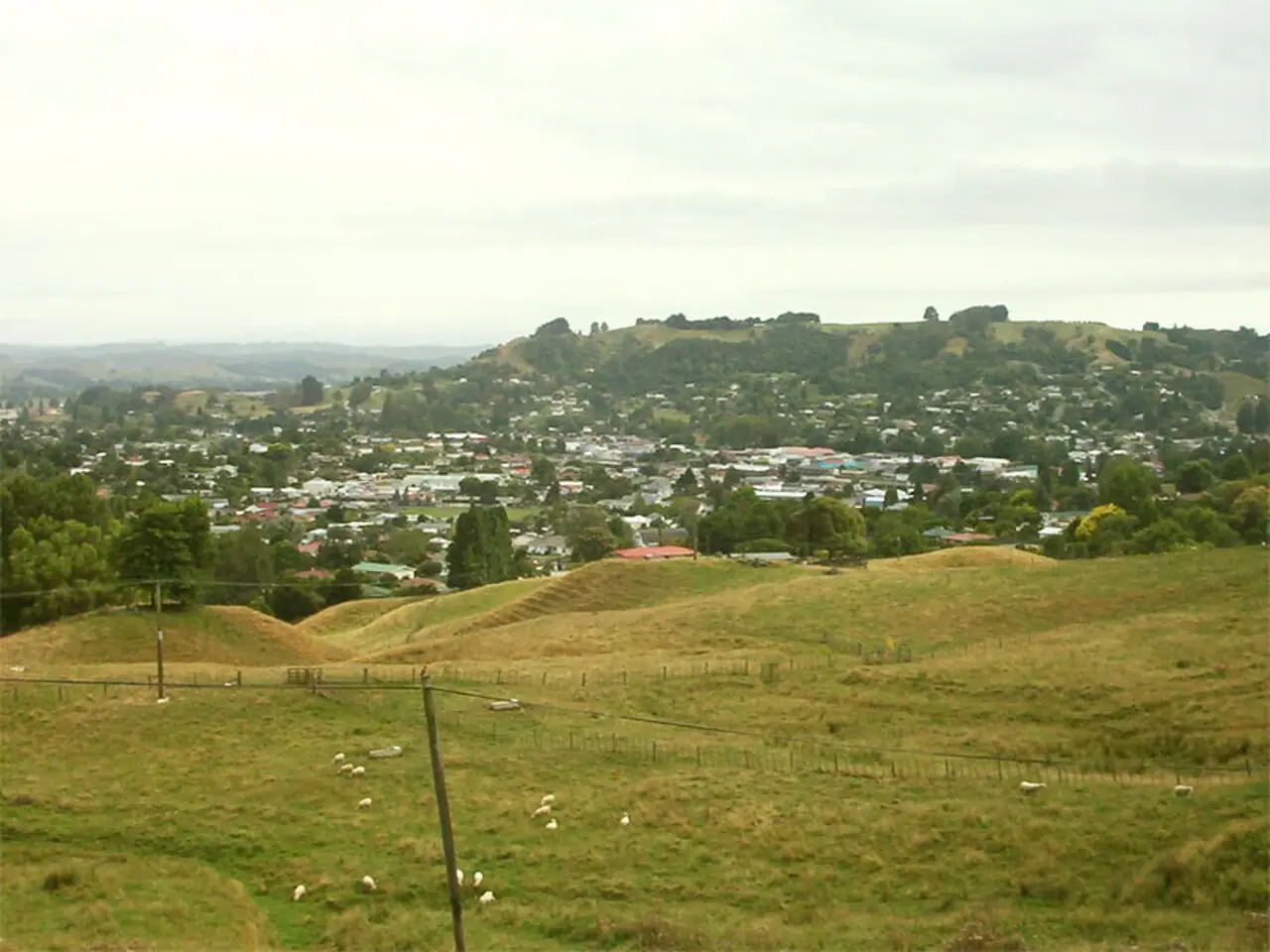 Te Kūiti, Waikato