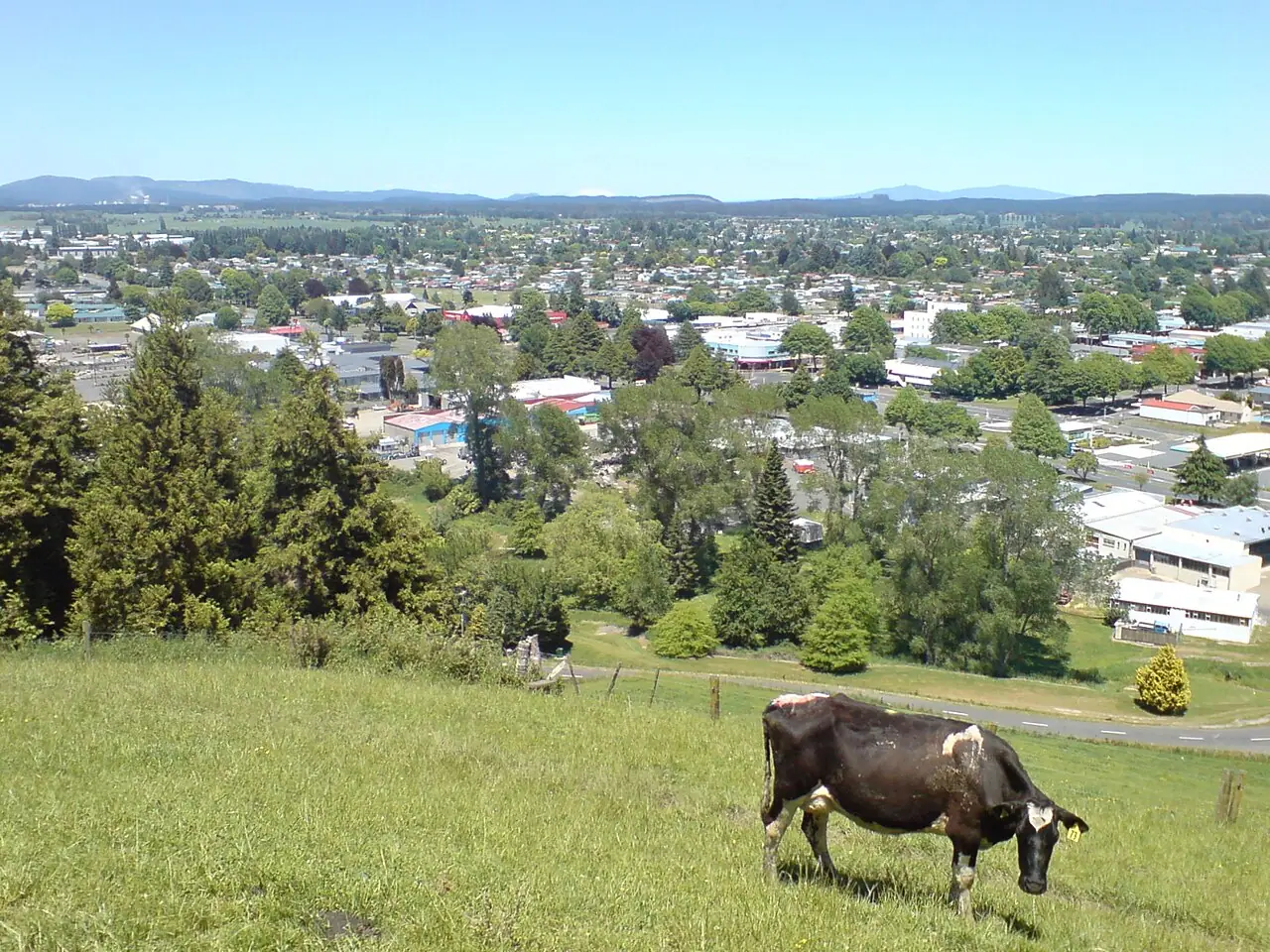 Tokoroa, Waikato