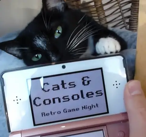 Catnap Cafe photo 3