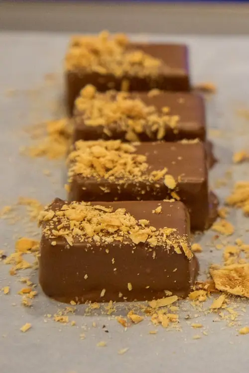 Patagonia Chocolates – photo 4