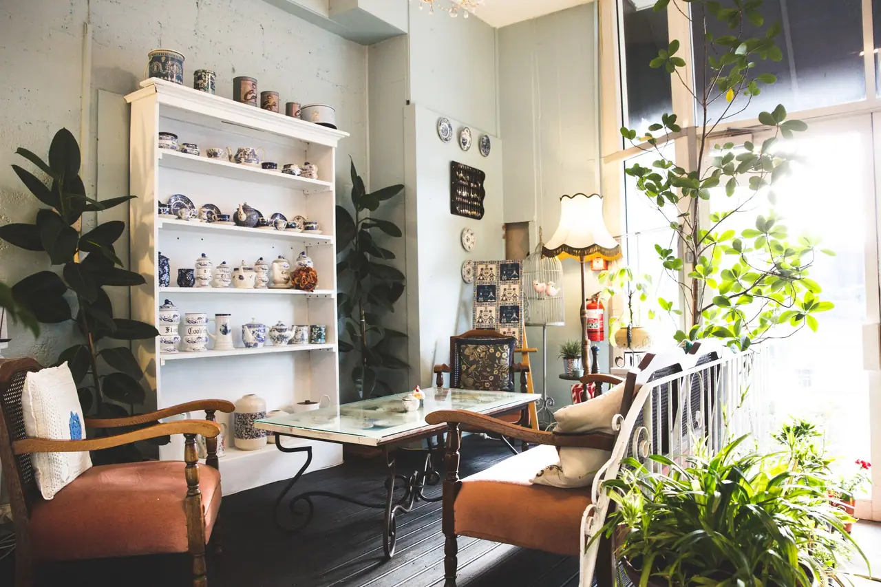 Lemon Tree Cafe – photo 4