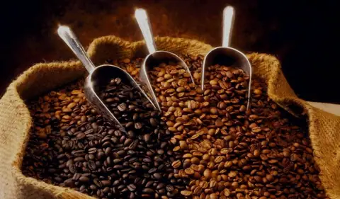 Origin Coffee photo 4