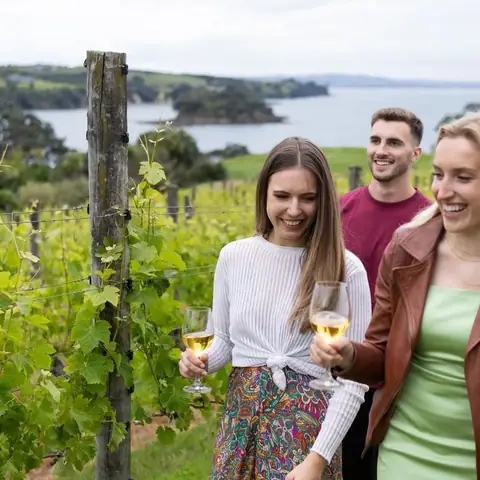 Cable Bay Vineyards photo 3